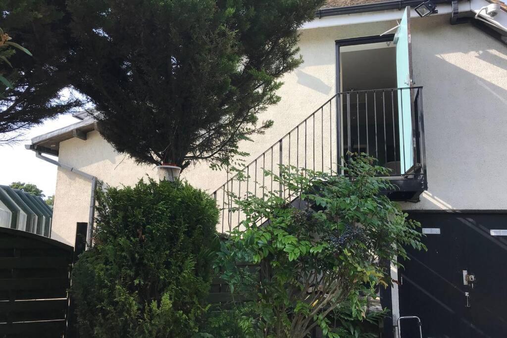 Alpaca Lodge Sittingbourne Exterior foto